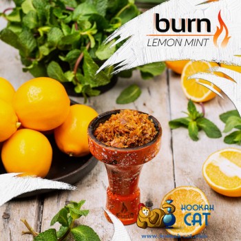 Заказать кальянный табак Burn Lemon Mint (Берн Лимон Мята) 25г онлайн с доставкой всей России